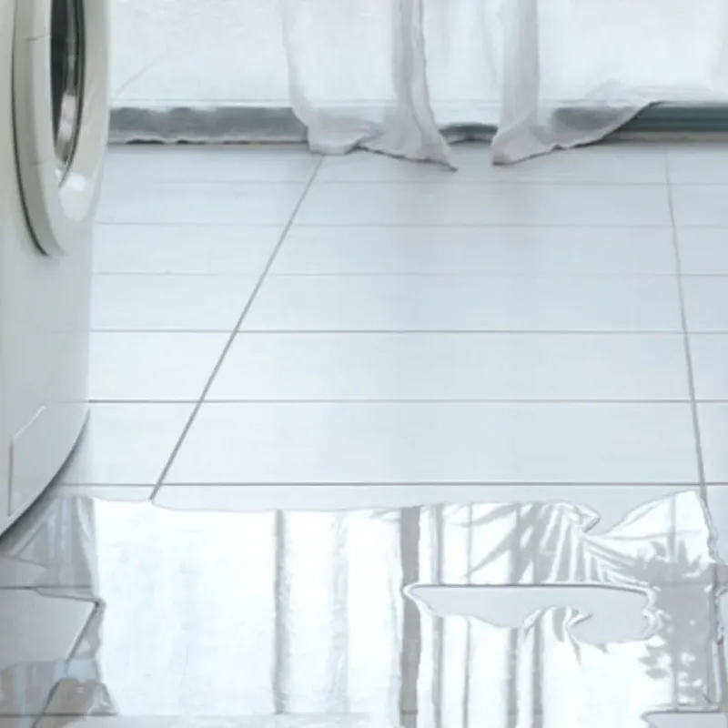 Appliance Leak Cleanup in Clarksville, VA