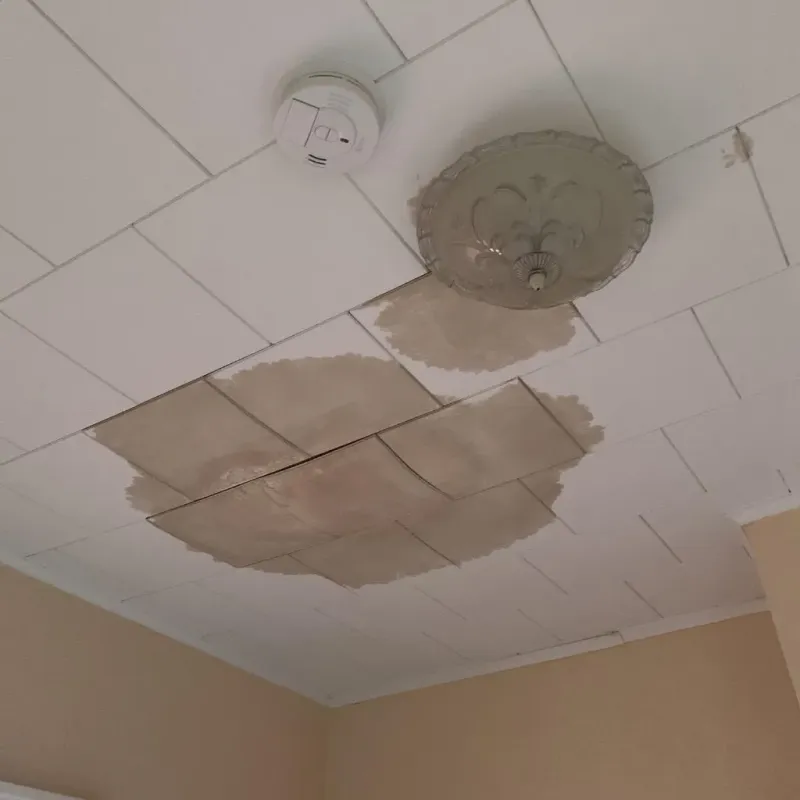 Ceiling Water Damage Repair in Clarksville, VA