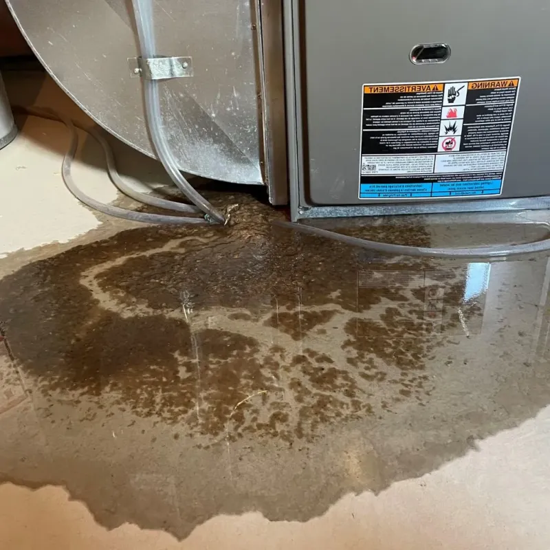 Pipe Burst and Leak Restoration in Clarksville, VA