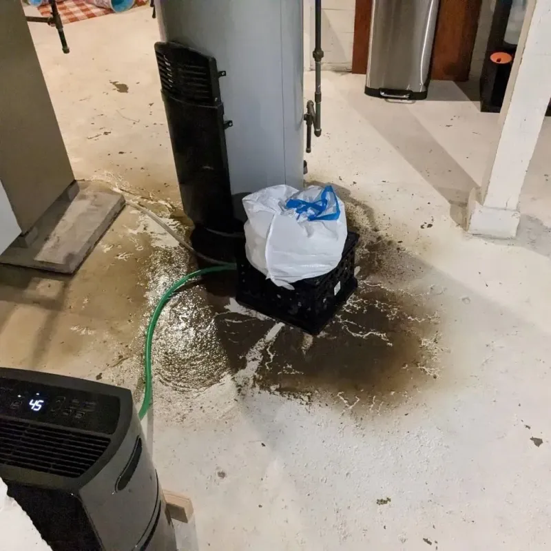 Sewage Backup Cleanup Service in Clarksville, VA